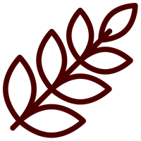 Unique Scents, <br>Expertly Blended